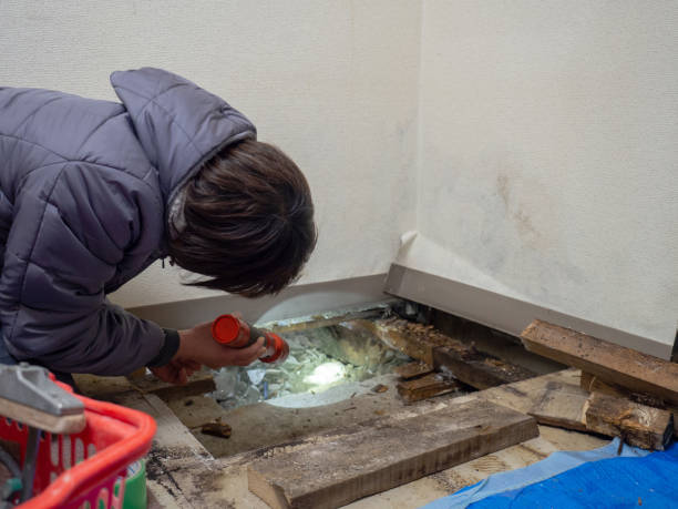 Best Airborne Mold Testing  in Dexter, MO