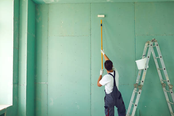 Best Basement Mold Removal  in Dexter, MO