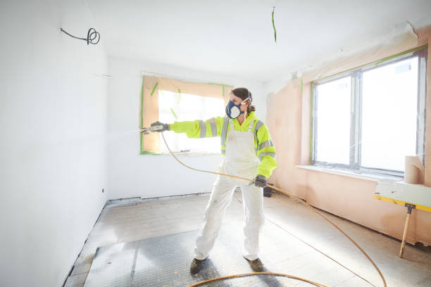 Best Crawl Space Mold Remediation  in Dexter, MO