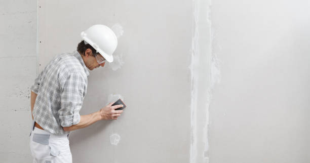 Best Mold Damage Restoration  in Dexter, MO