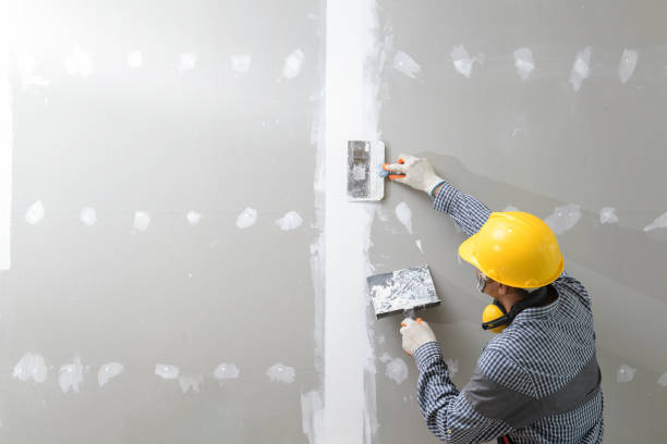 Best Mold Remediation for Rental Properties  in Dexter, MO