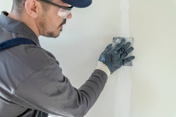 Best Mold Prevention Services  in Dexter, MO