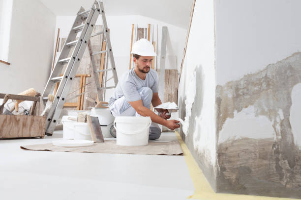 Best Air Quality Testing for Mold Spores  in Dexter, MO