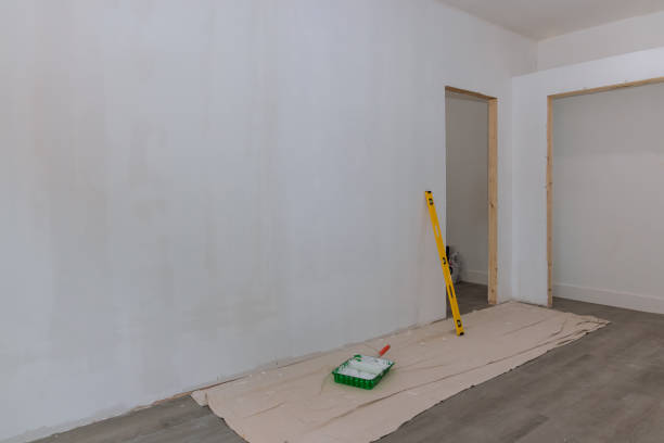 Trusted Dexter, MO Mold Removal Experts