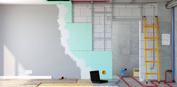 Best Industrial Mold Remediation  in Dexter, MO