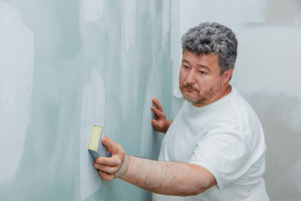 Best Attic Mold Removal  in Dexter, MO