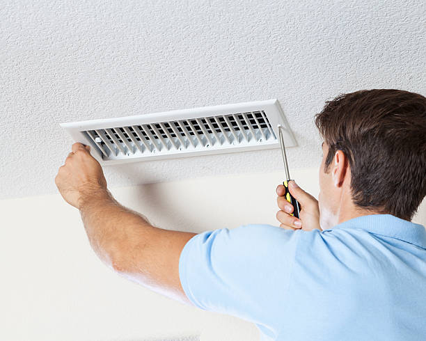 Best Mold-Related Health Consultation  in Dexter, MO
