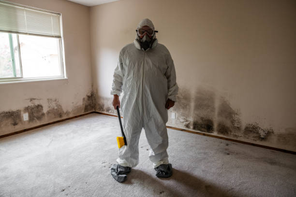 Mold Remediation for Rental Properties in Dexter, MO